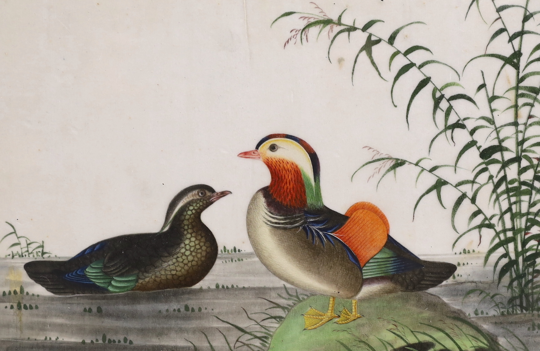 19th century Chinese school, pair of pith paper paintings, Birds beside water, each 16.5 x 25cm, housed in decorative frames